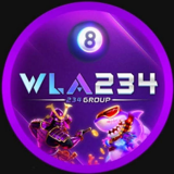 wla234-d.com LOGO